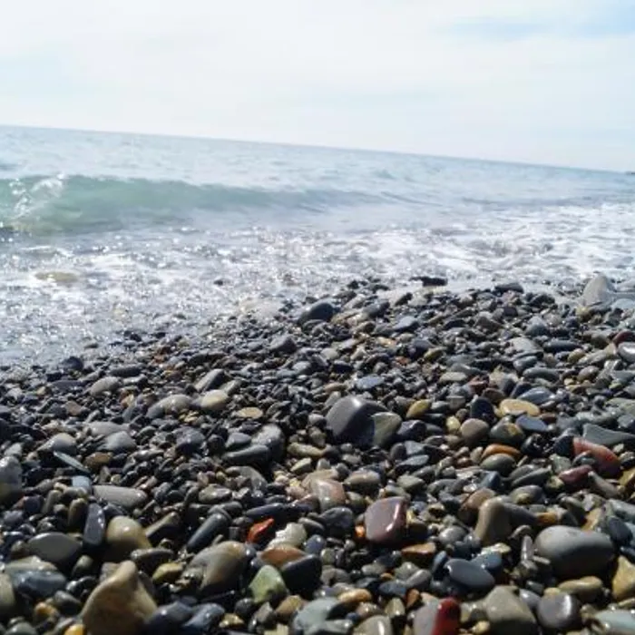 [ «Молодёжь в ритме олимпиады» ]