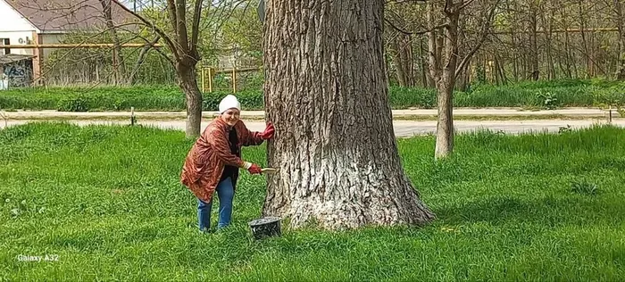 da979718-9356-4590-bf29-a0c639e291be